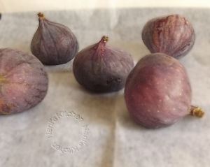 figues  (1)