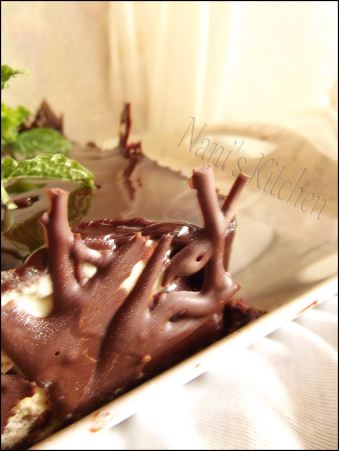 entremets menthe chocolat  (2)